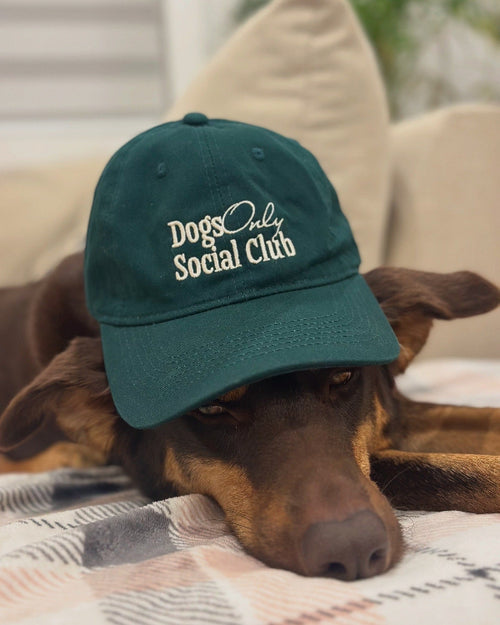 Dogs Only Social Club Hat
